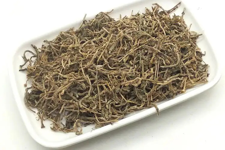 佛甲草药材图