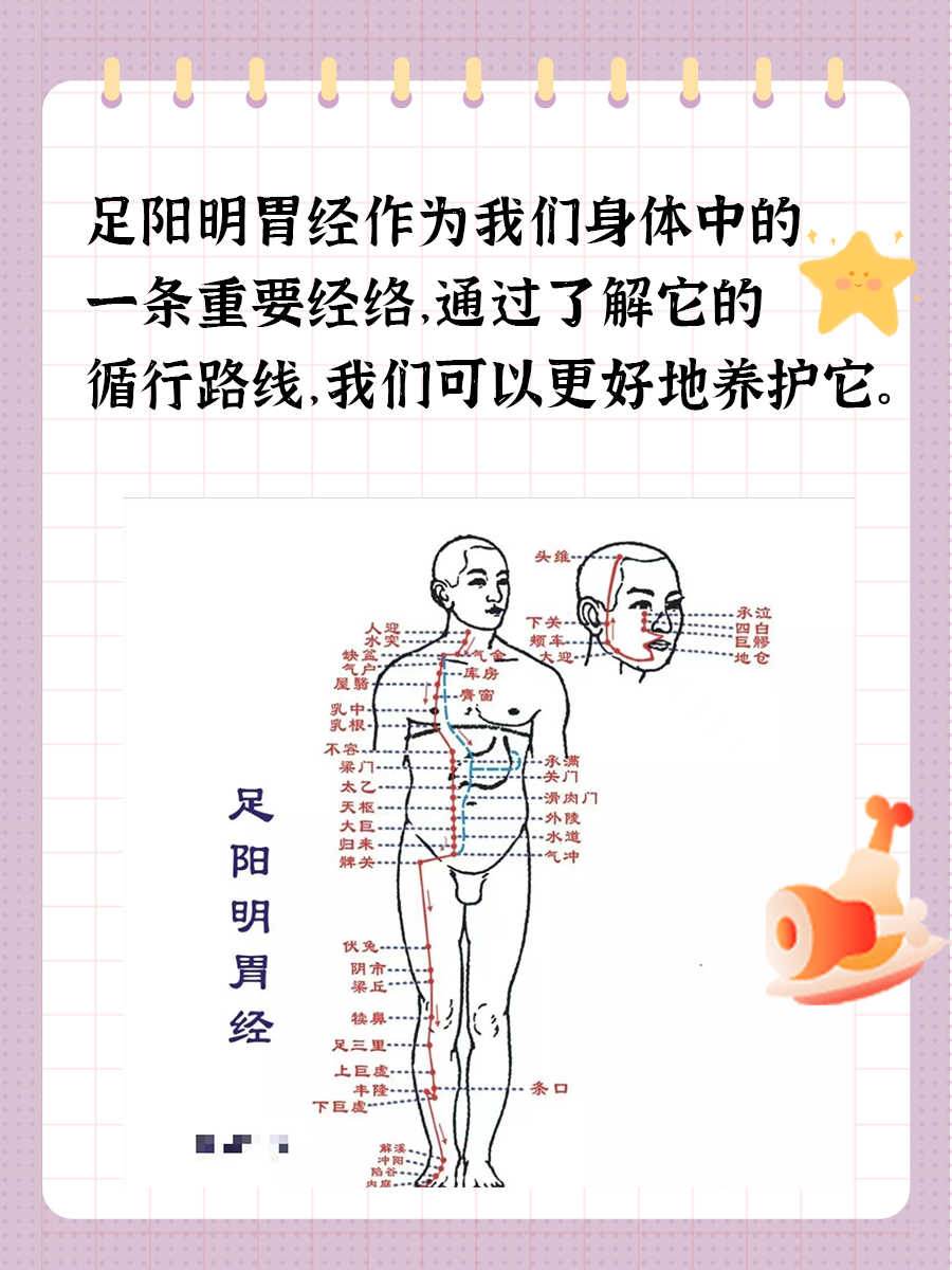 探寻足阳明胃经，循行路线一图掌握！