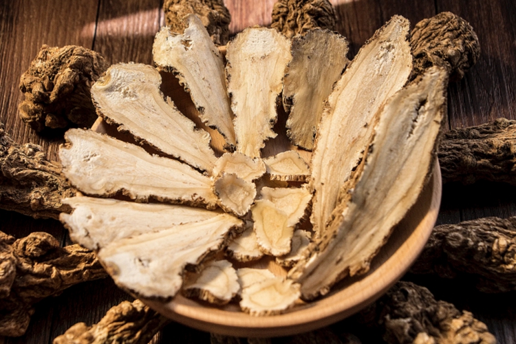 当归切片图 当归切片图