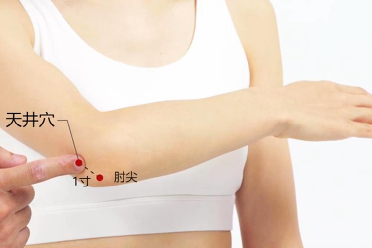 天井穴准确位置图