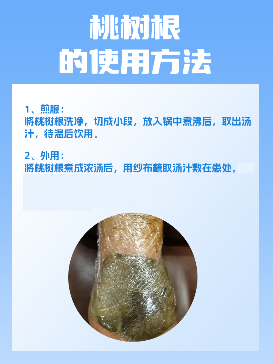 揭秘桃树根：药用价值与神奇功效