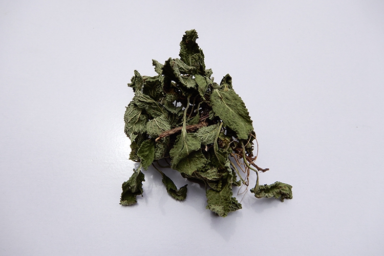 干燥灰绿色蛤蟆草图