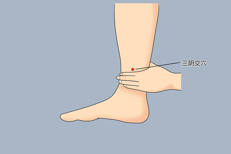 三阴交穴是足三阴经交会的穴位,属于足太阴脾经,位于小腿内侧,当足