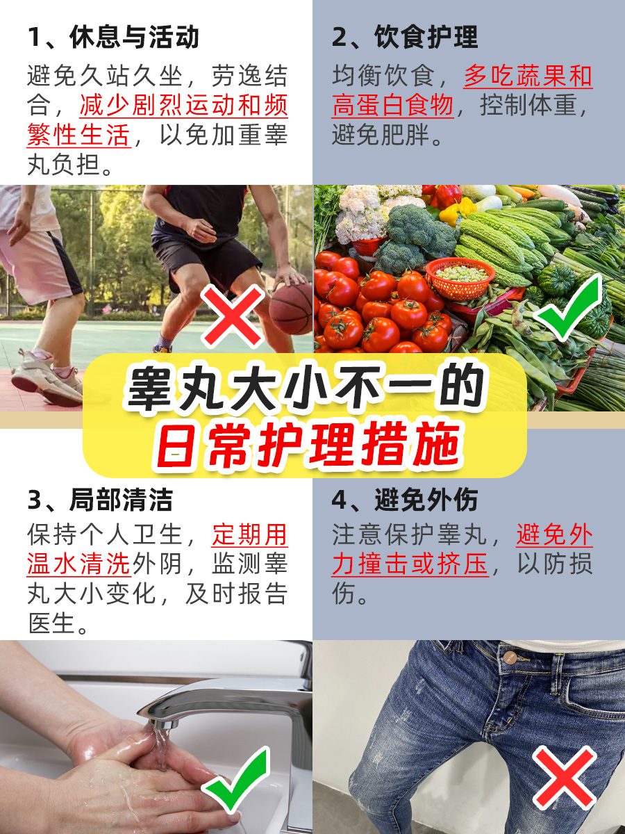 睾丸为何一个大一个小？原因可能在这里！