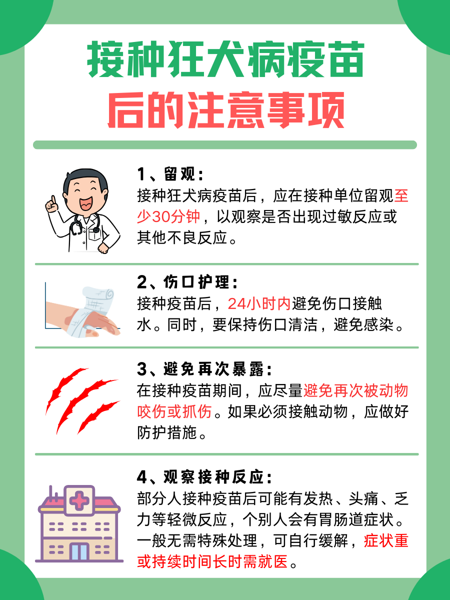 狂犬病疫苗接种后忌口食物,医生解答