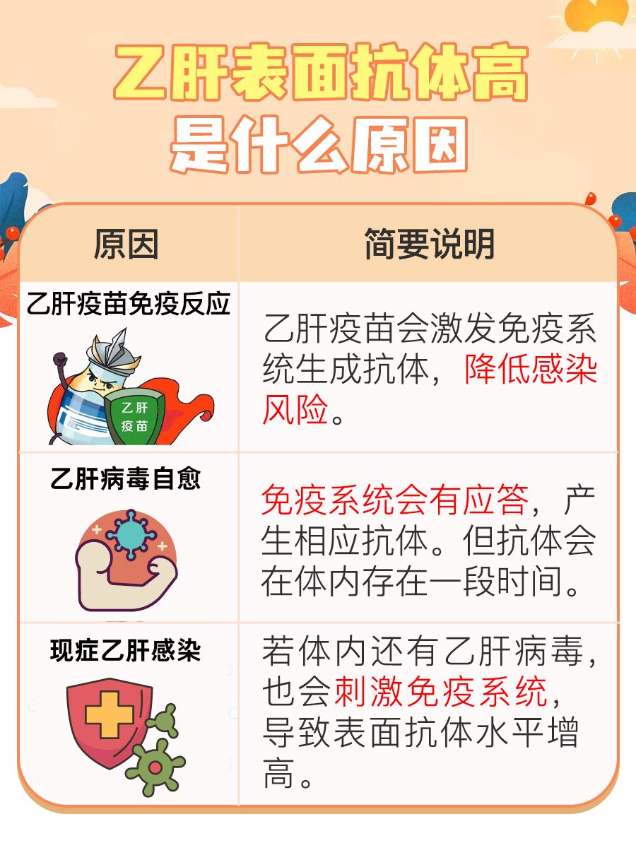 乙肝表面抗体升高的背后:原因解析