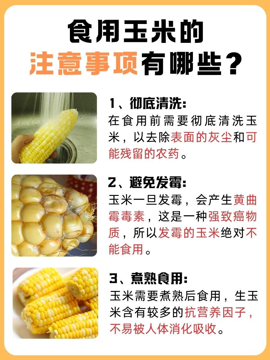 专家探究:一根玉米的热量是多少大卡?
