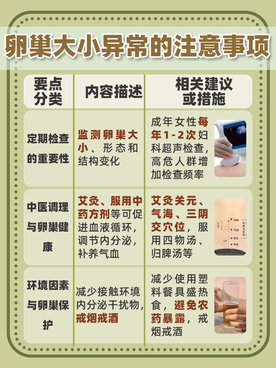 卵巢大小对照表mm