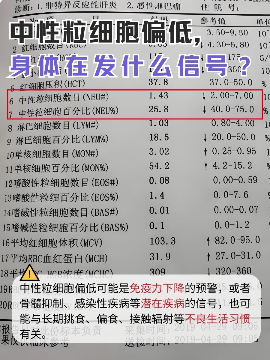 中性粒细胞偏低，身体在发什么信号？