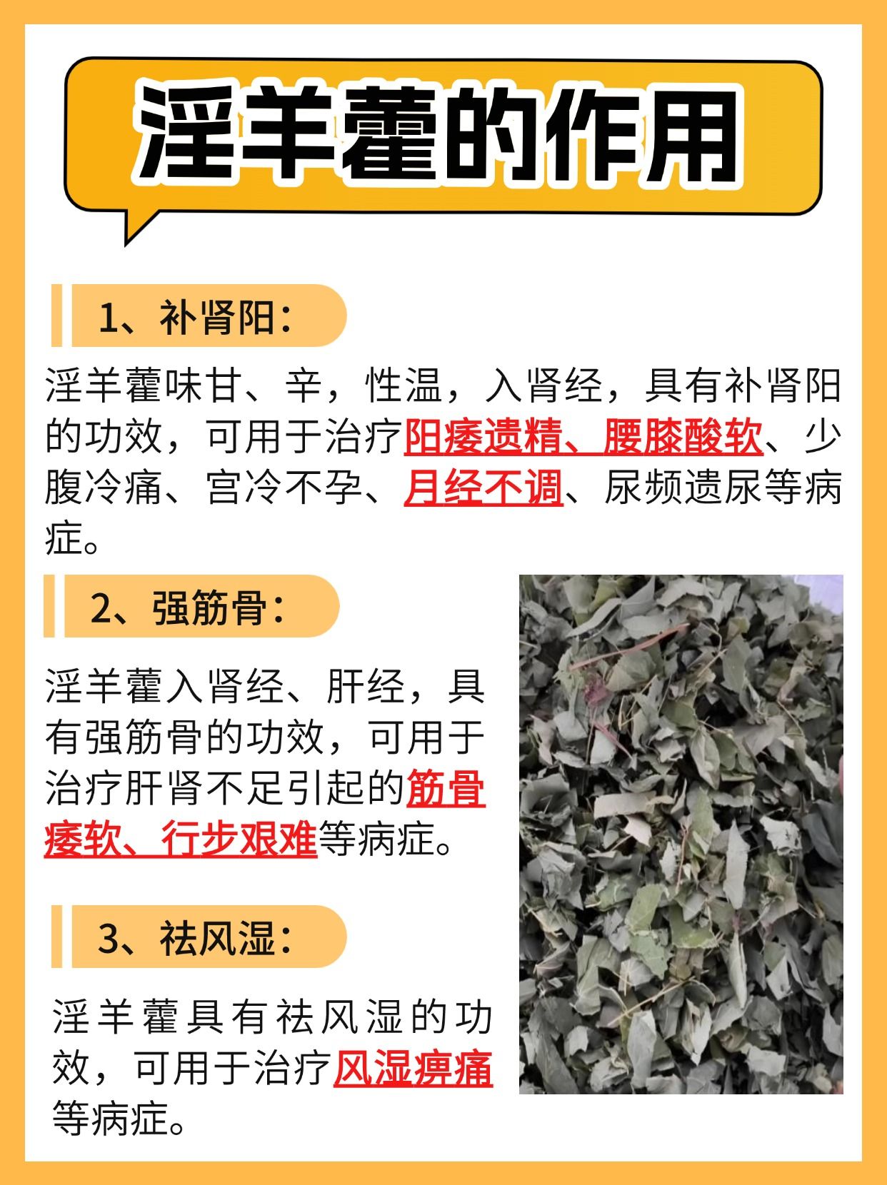 淫羊藿怎么用？教你正确打开方式！