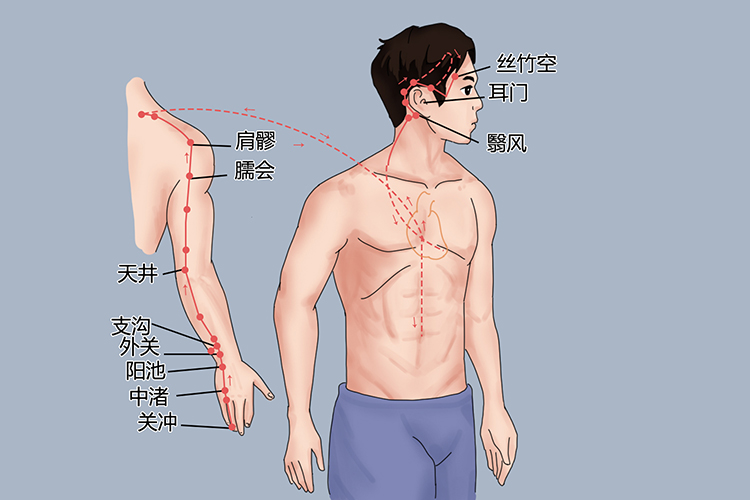 手少阳三焦经循行腕部图
