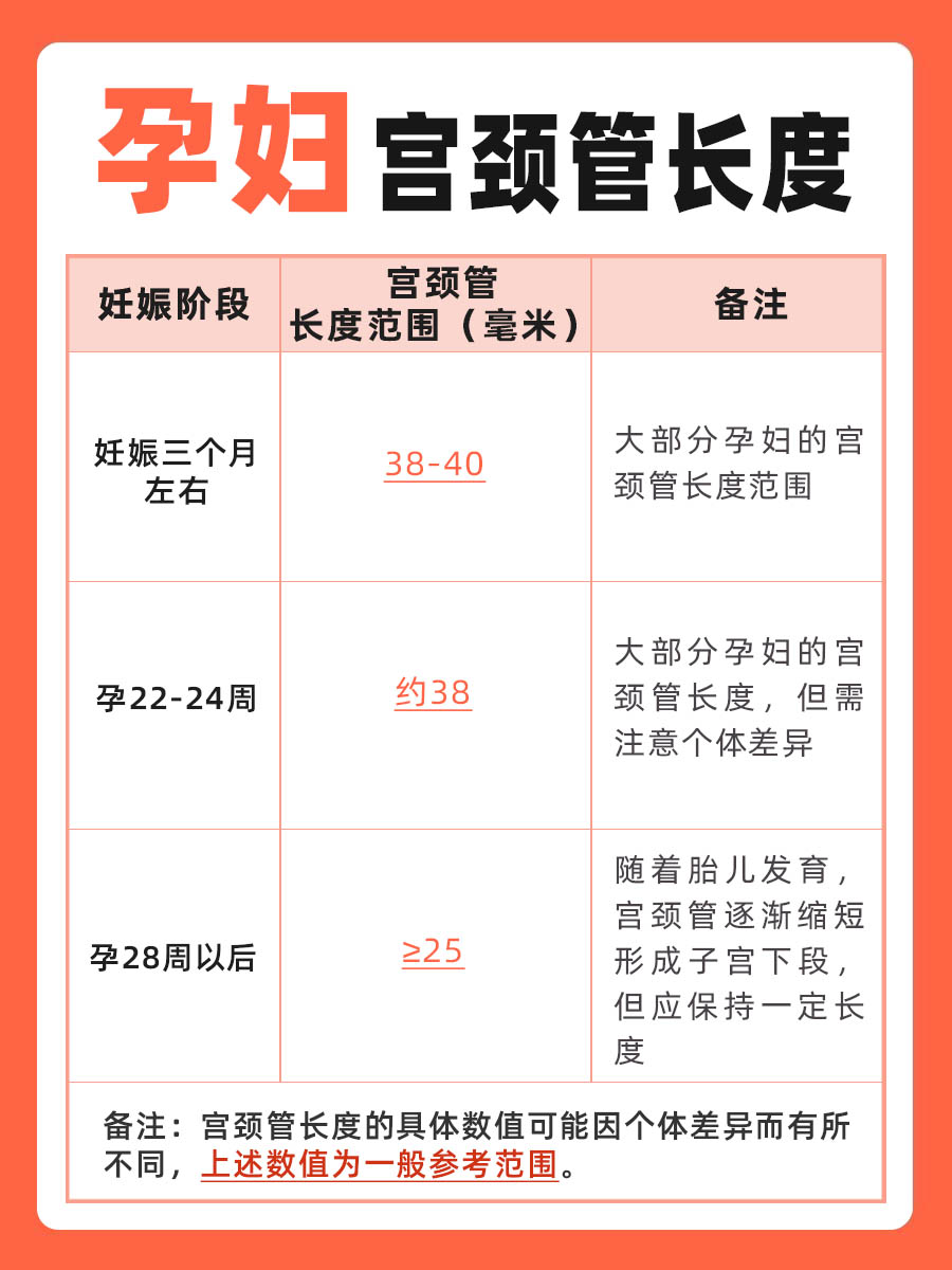 宫颈管长度参照表孕妇