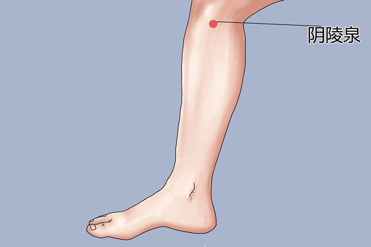 祛湿阴陵泉穴位置图