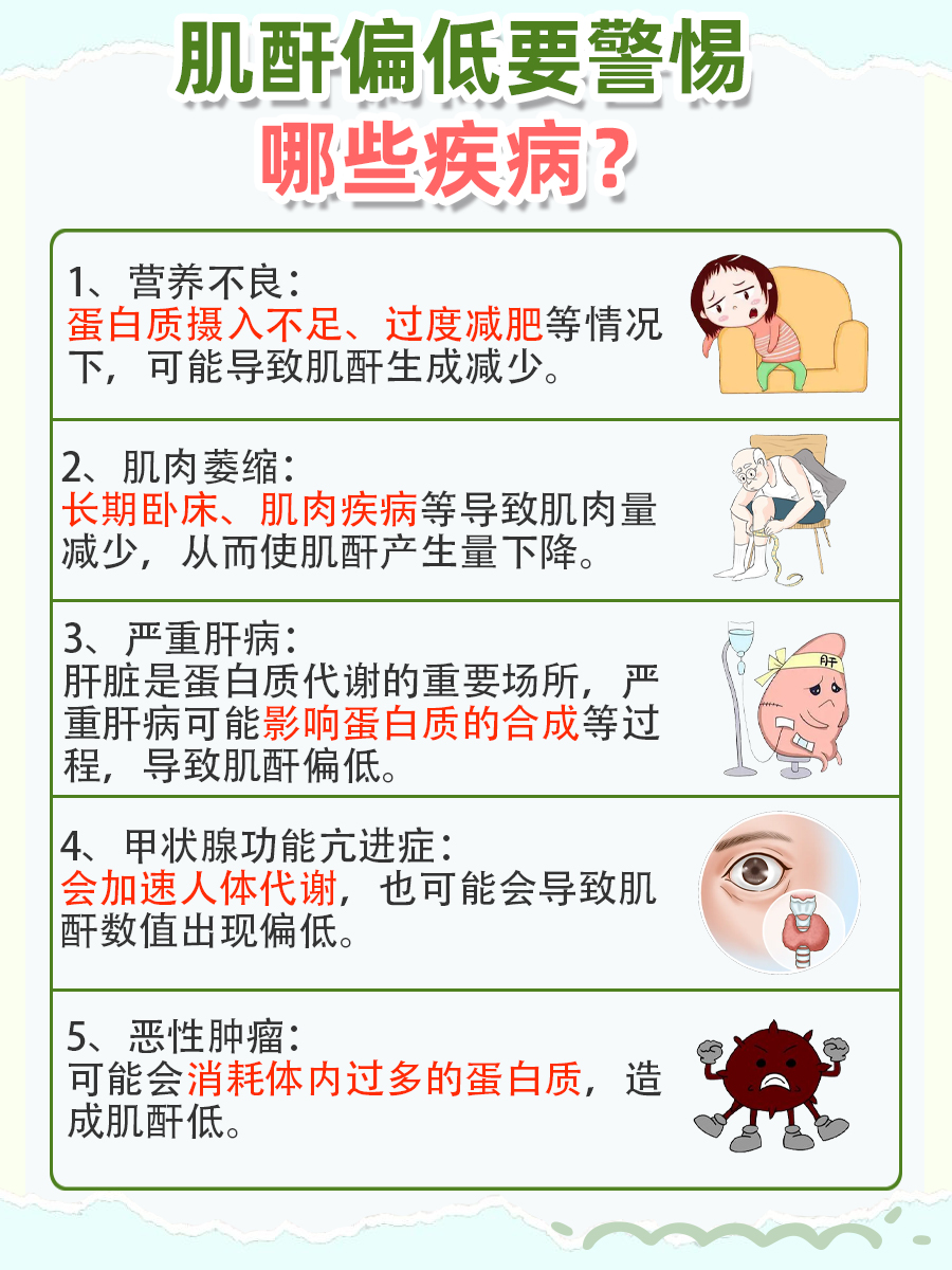 肌酐偏低，警惕几大健康警钟！