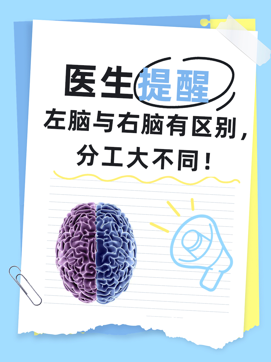 医生提醒|左脑与右脑有区别,分工大不同!