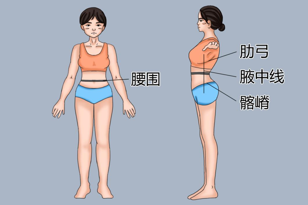 腰围测量图