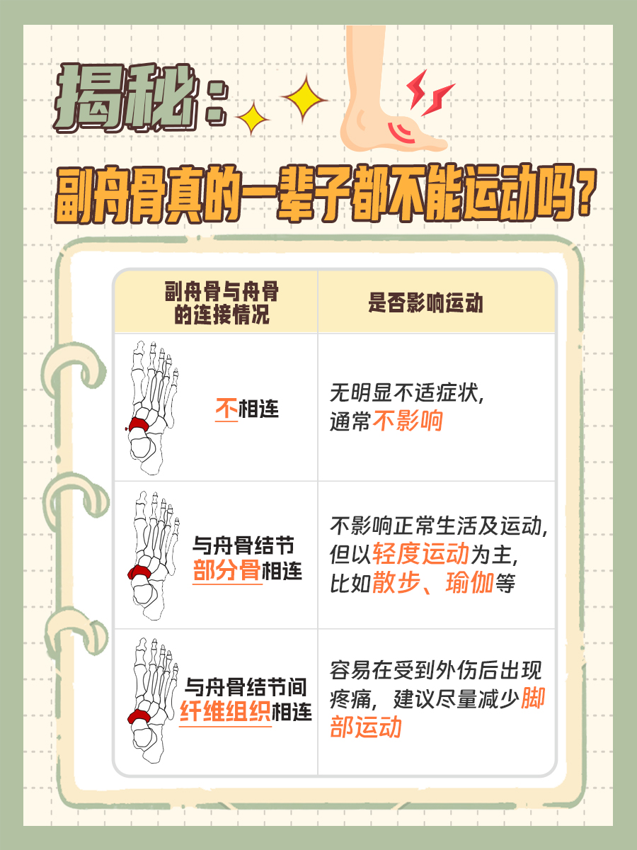 揭秘：副舟骨真的一辈子都不能运动吗？