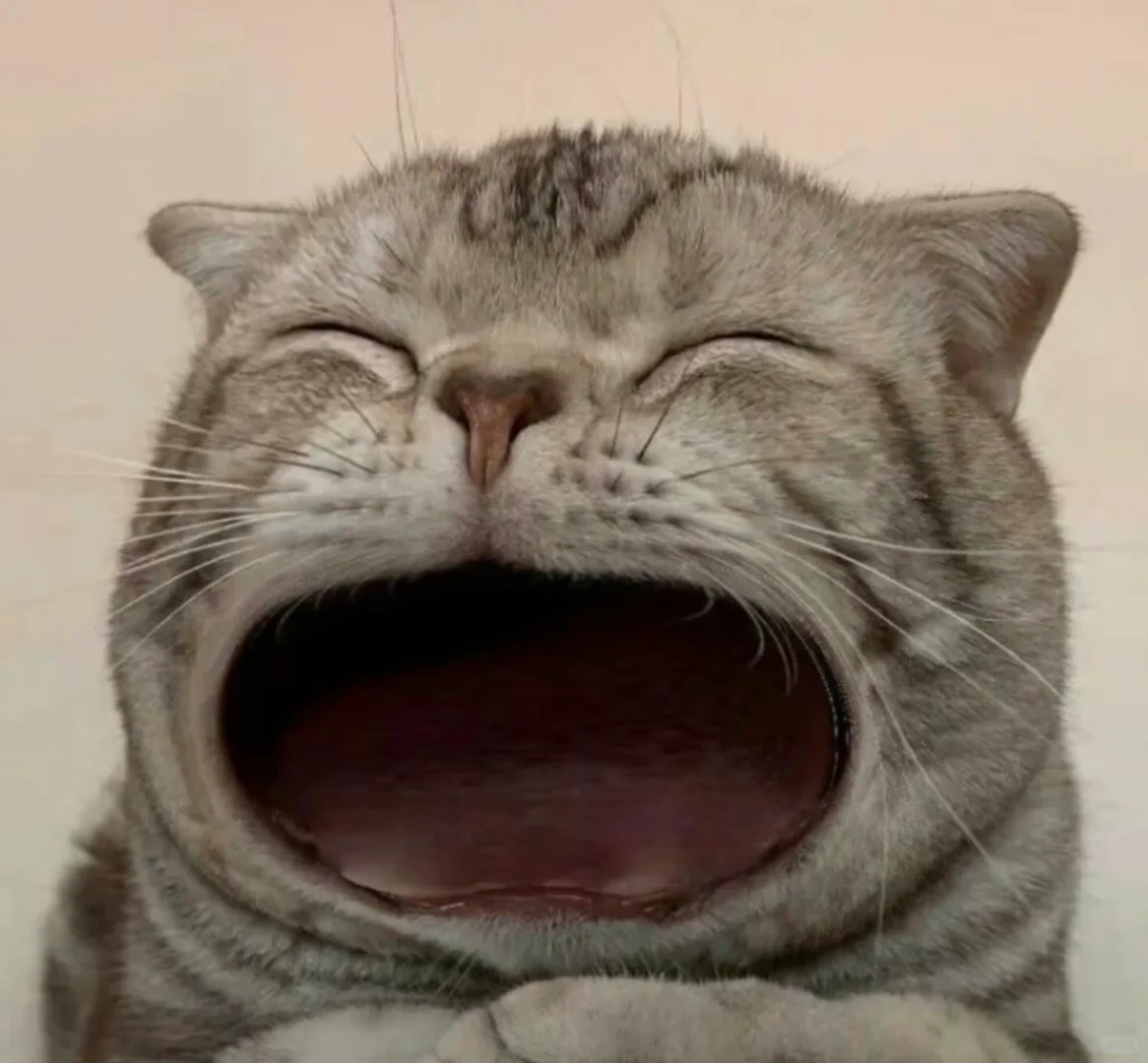 北京望京医院沈红强医生怎么样？怎么挂号？