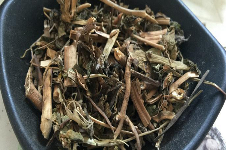 猫眼草药材外观图 猫眼草药材外观图