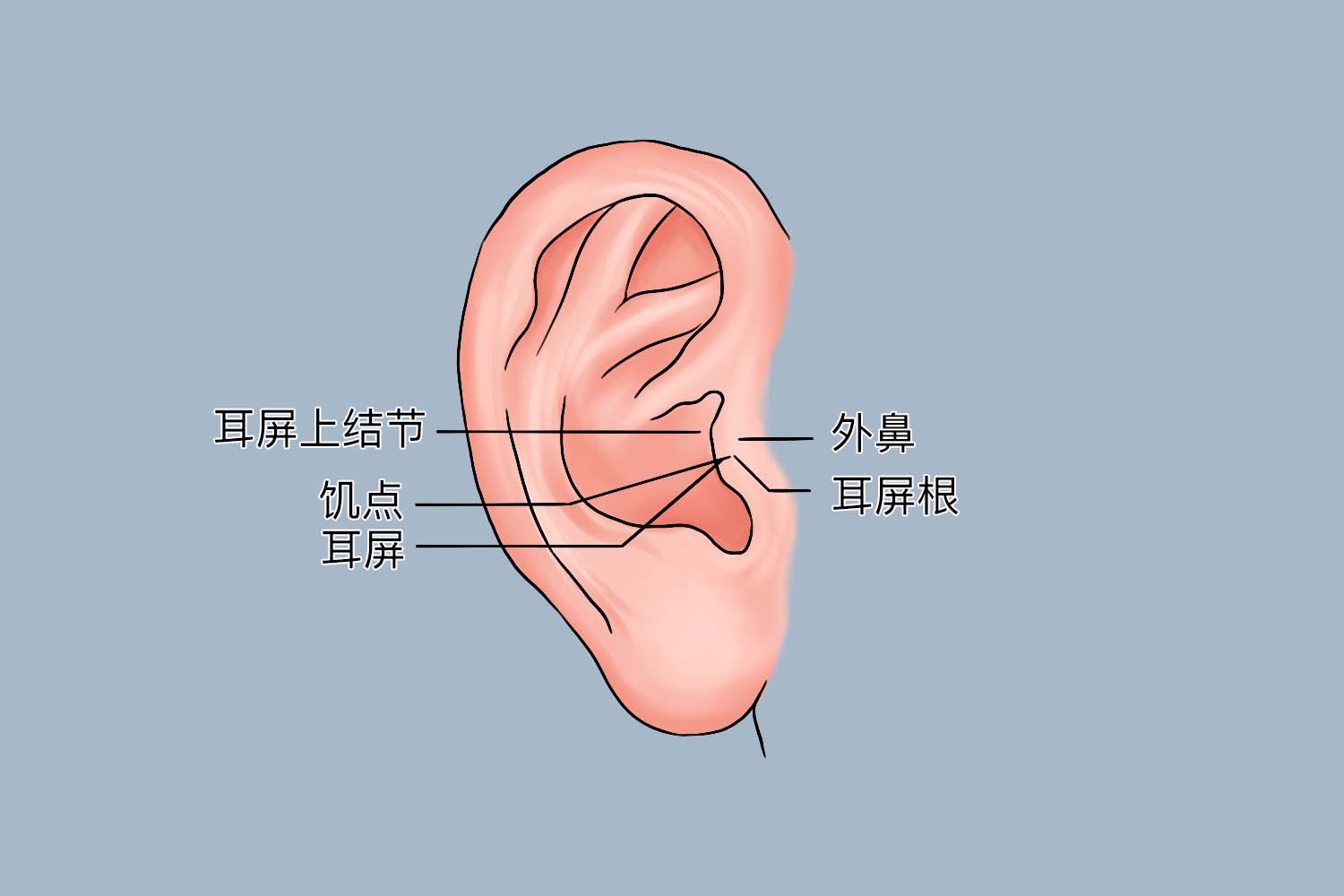 饥点位置示意图 饥点位置示意图