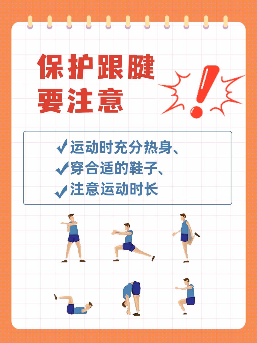 揭秘跟腱：从结构到功能的全面解析！