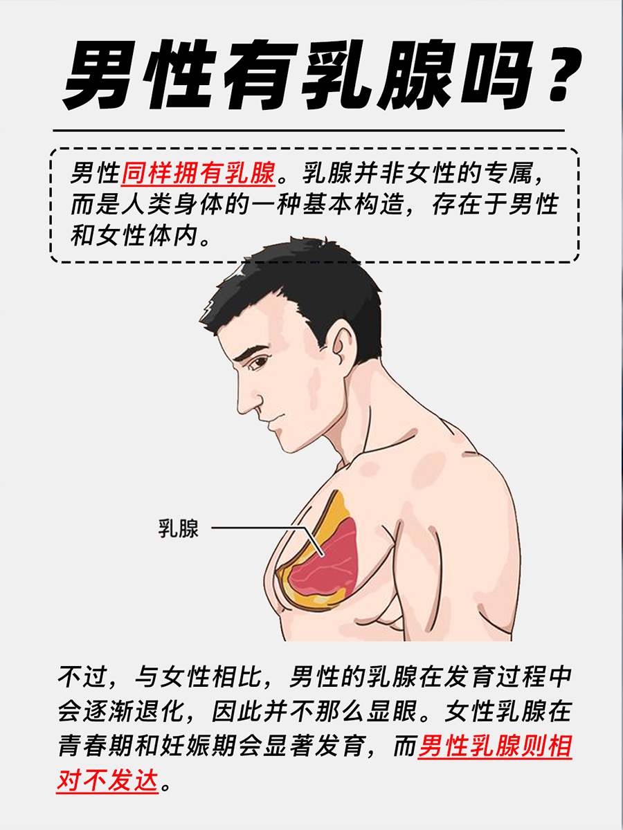 男性有乳腺吗？医生来解答！