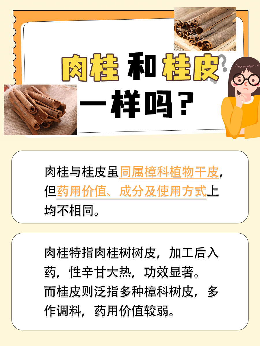 揭秘！肉桂和桂皮，其实是同一种东西吗？