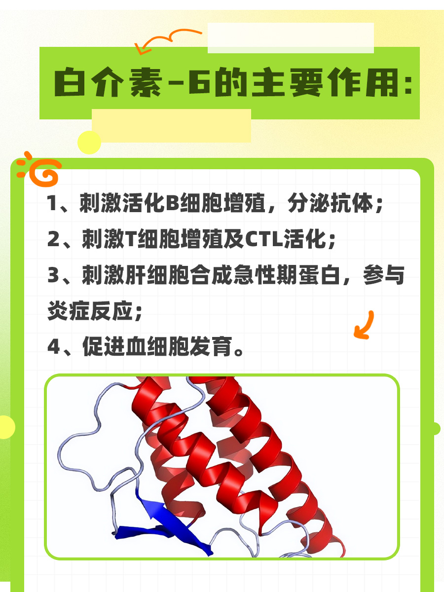 IL-6偏高意味着啥?一文带你了解!