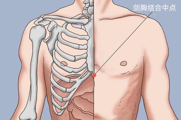 剑胸结合中点位置图 剑胸结合中点位置图