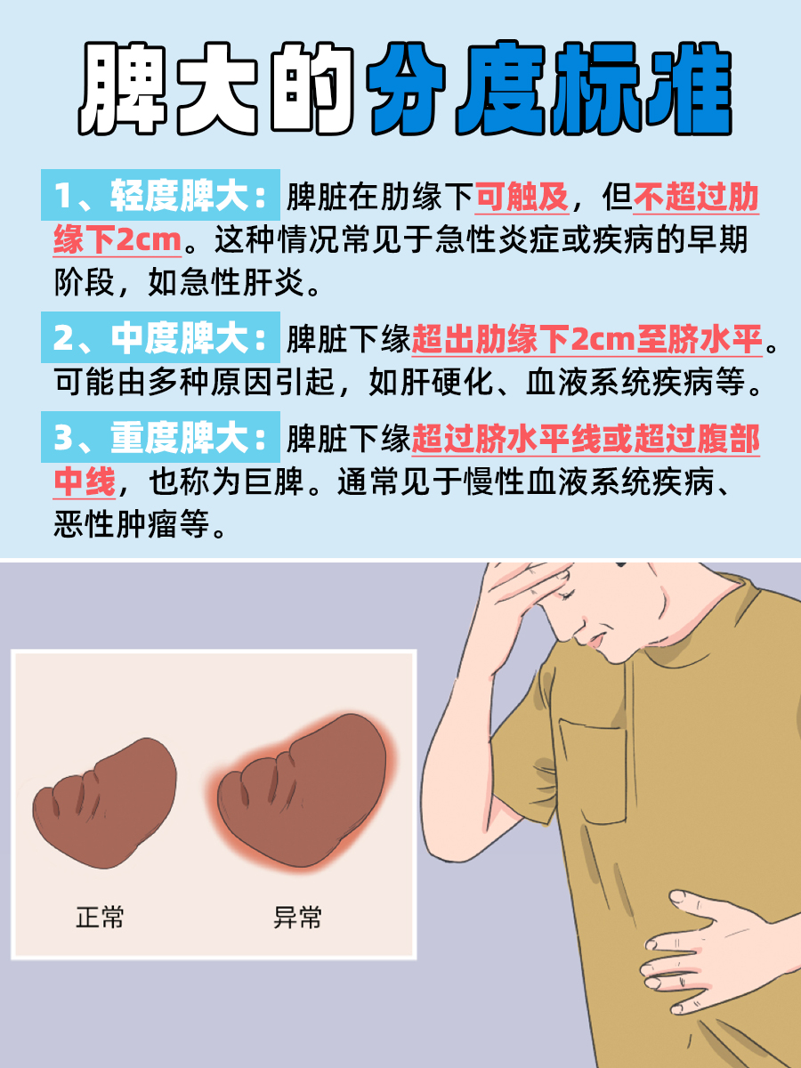 脾大60mm算什么程度？轻度or中度？