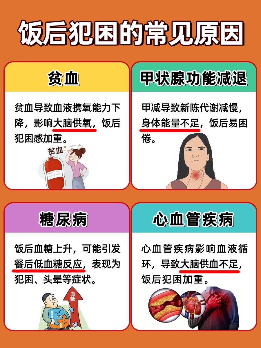 饭后“犯困迷糊”?小心这四种疾病在作祟!