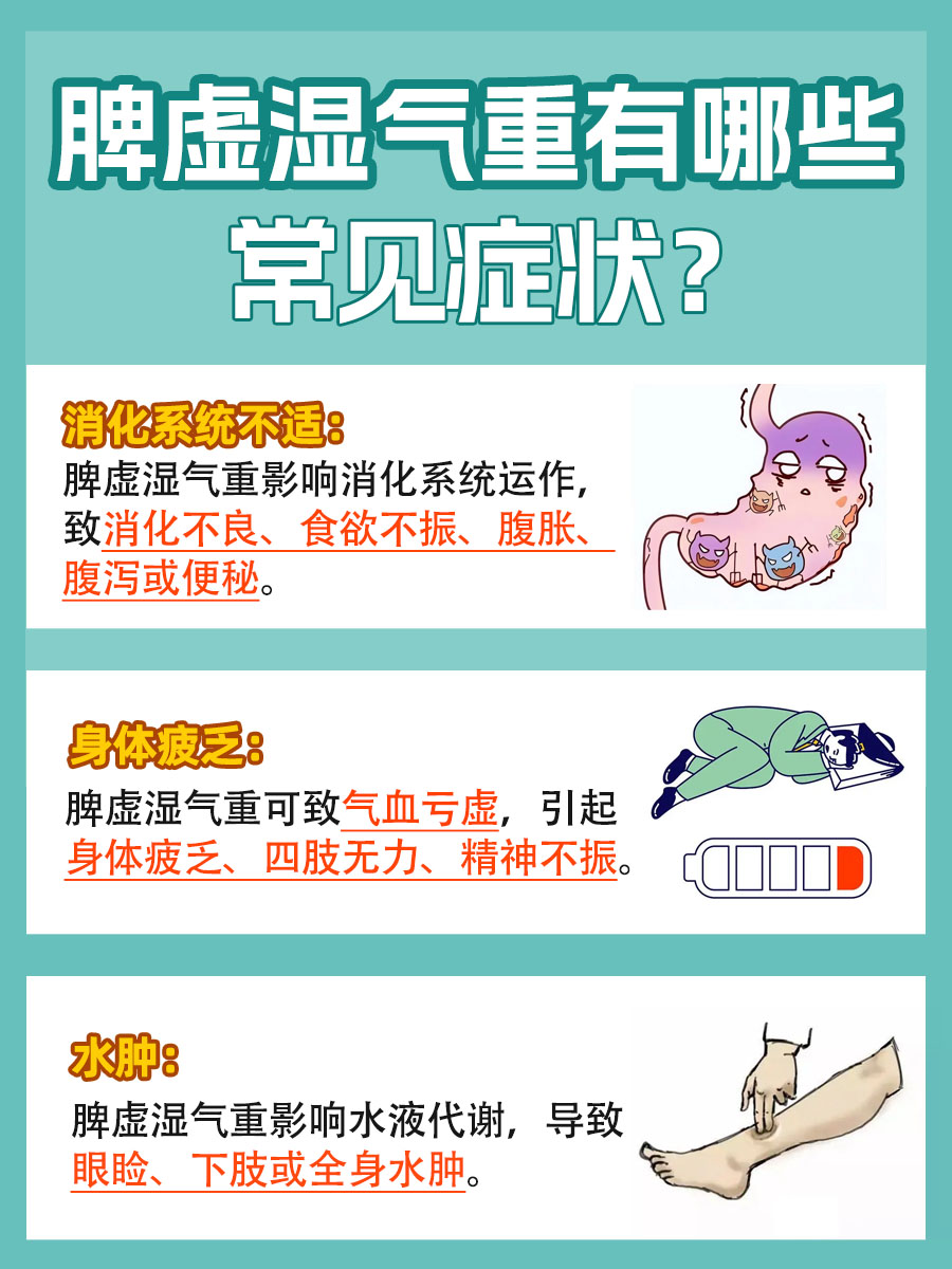 脾虚湿气重：三大典型症状解析