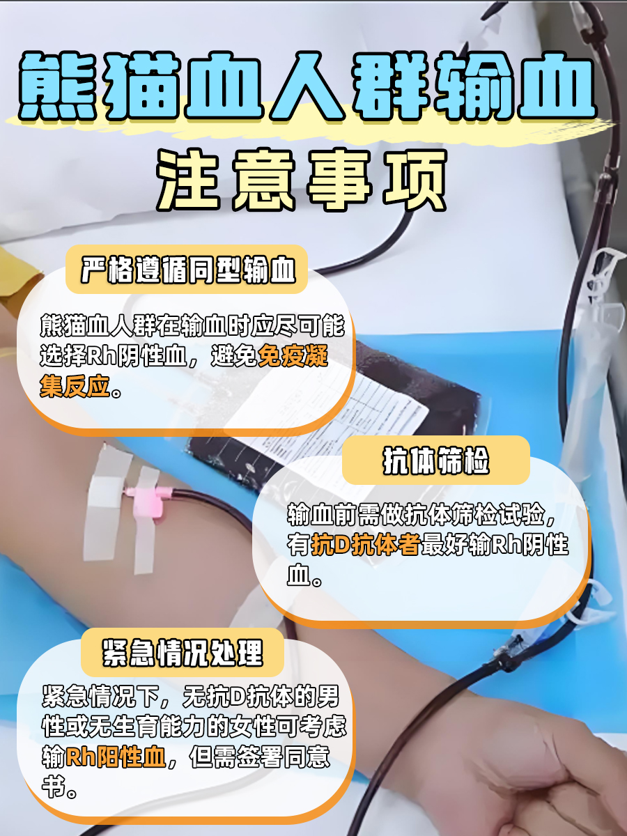 别再乱猜！熊猫血到底啥颜色，医生来告诉你