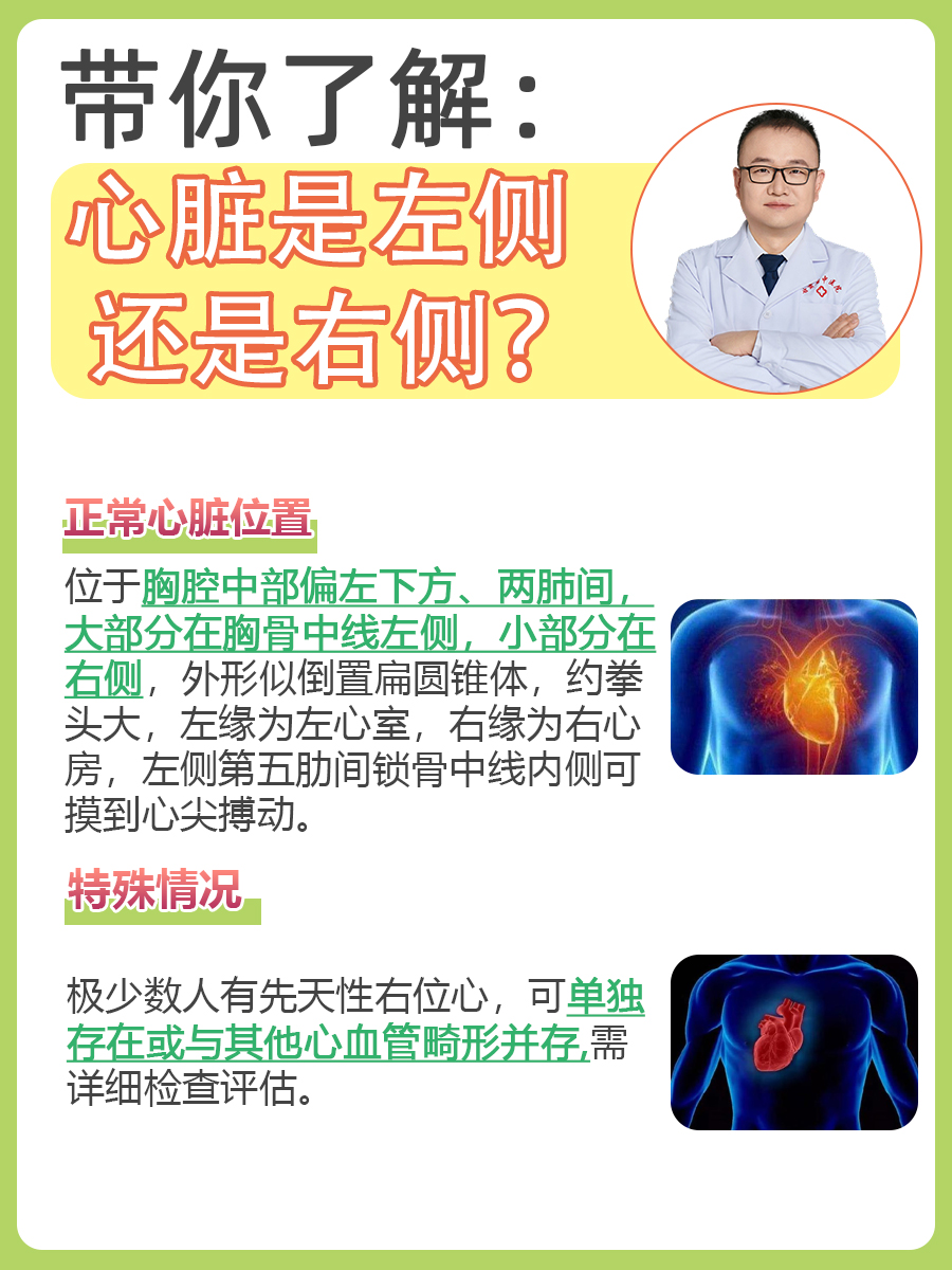 带你了解:心脏是左侧还是右侧?