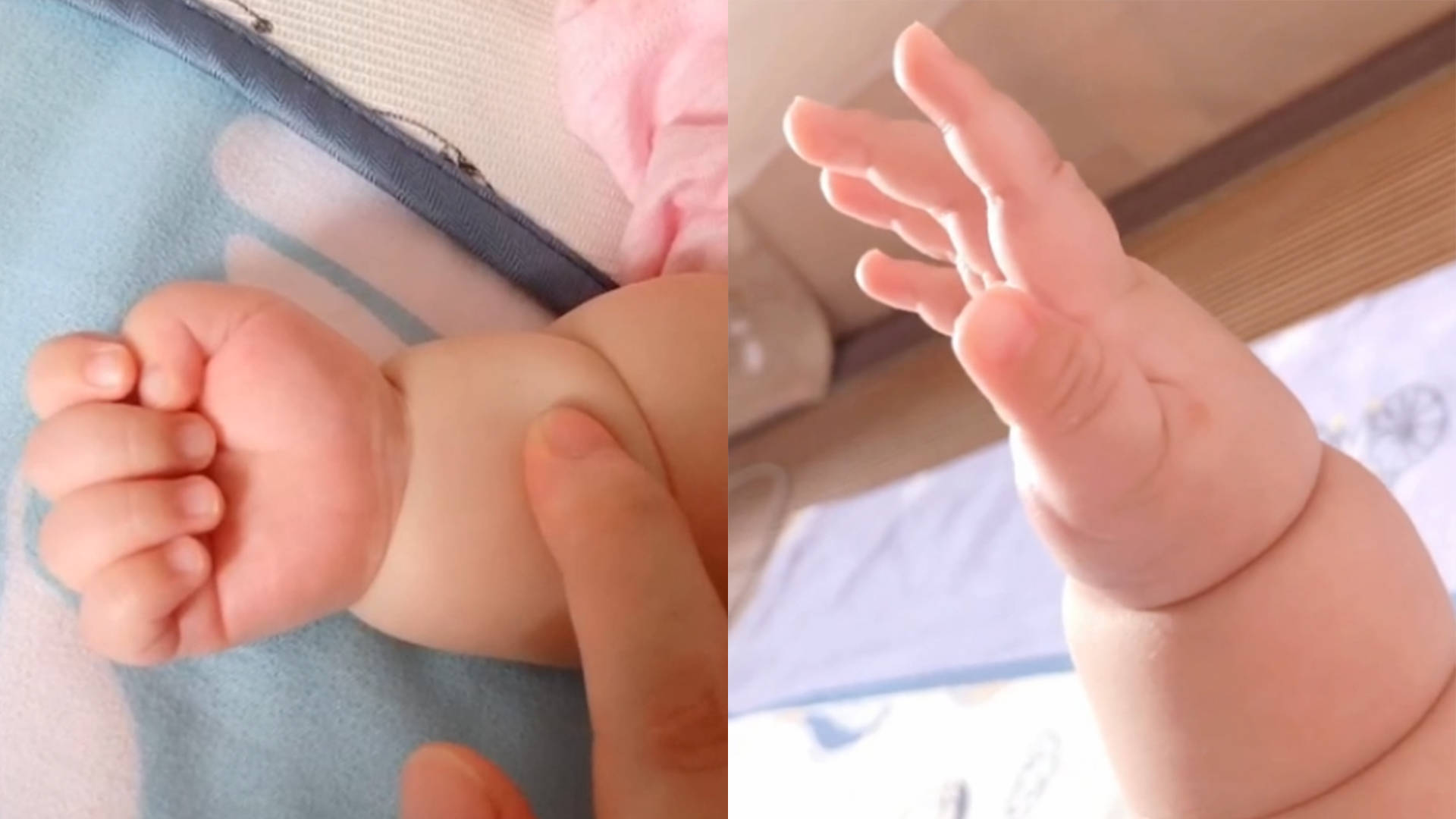 婴儿莲藕臂图 婴儿莲藕臂图