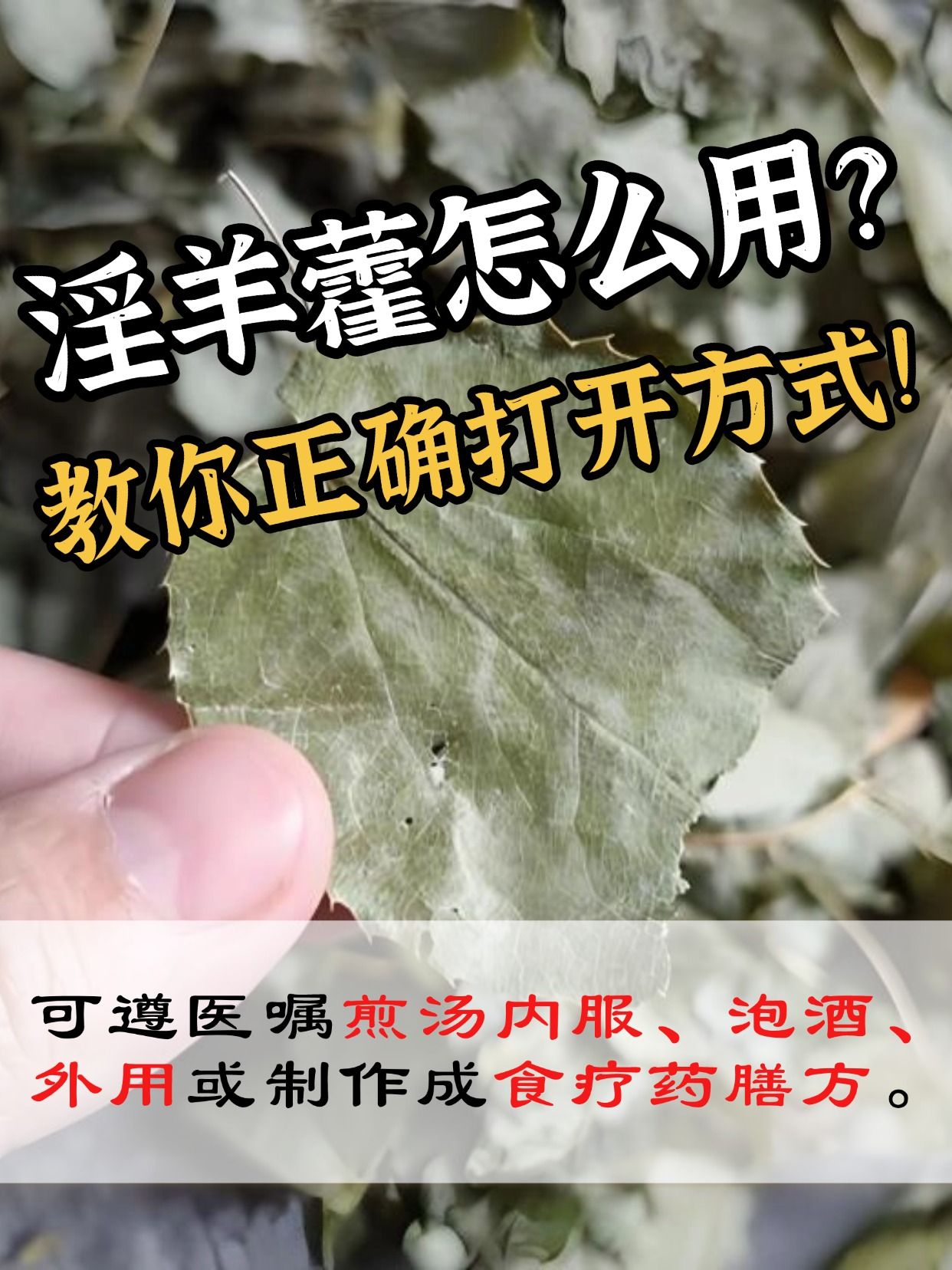 淫羊藿怎么用？教你正确打开方式！