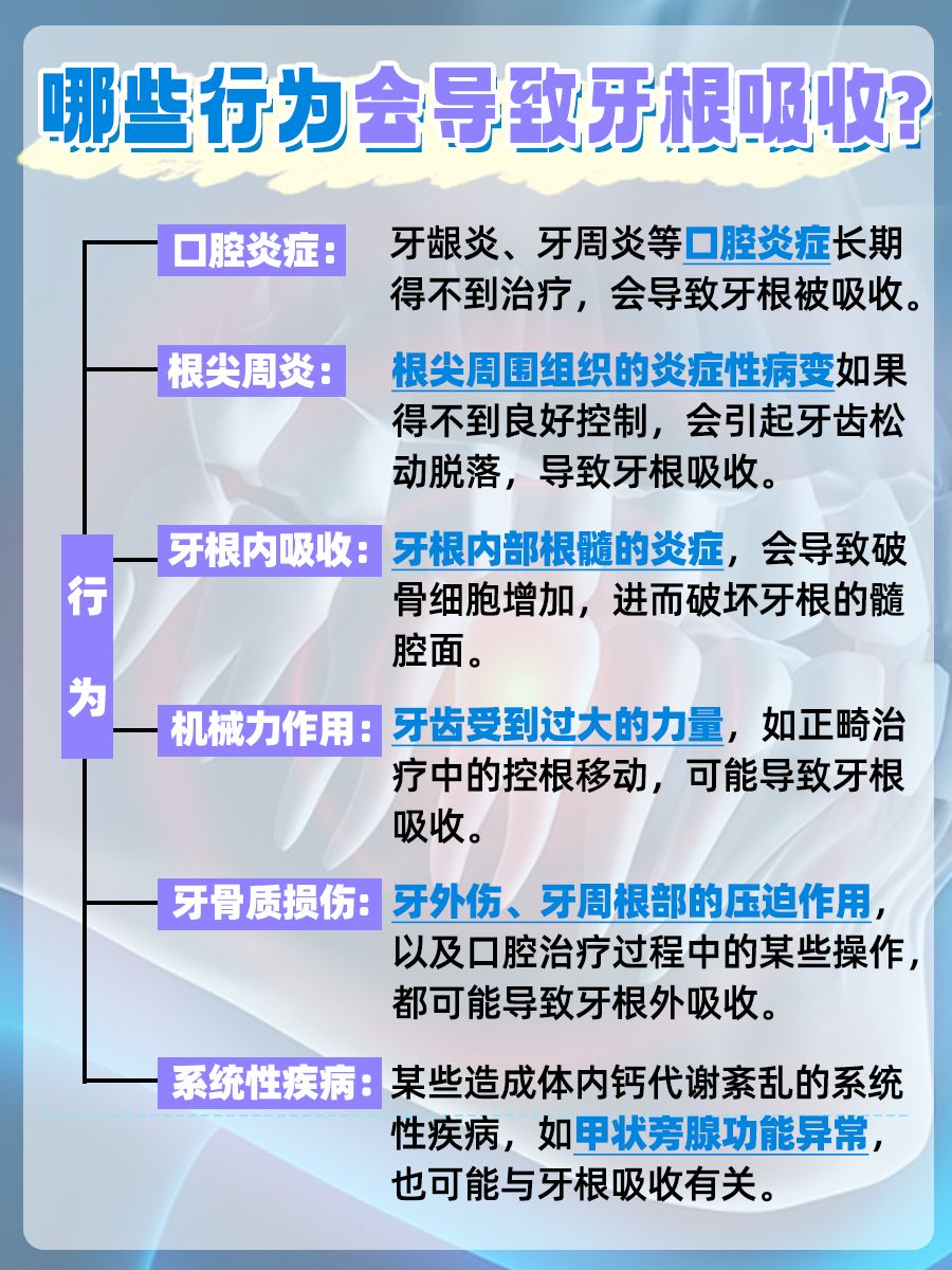 MicroCT下牙根吸收啥意思，不看就白做