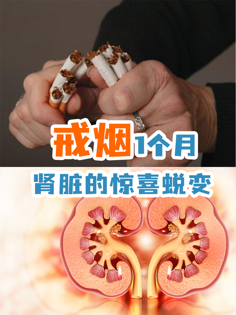戒烟1个月,肾脏的惊喜蜕变