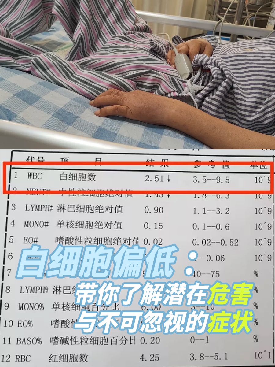 白细胞偏低：带你了解潜在危害与不可忽视的症状