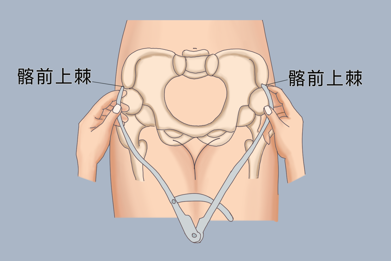 测量髂棘间径图