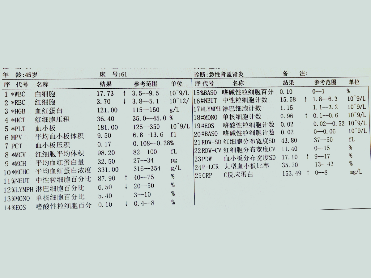 肾炎化验单图片