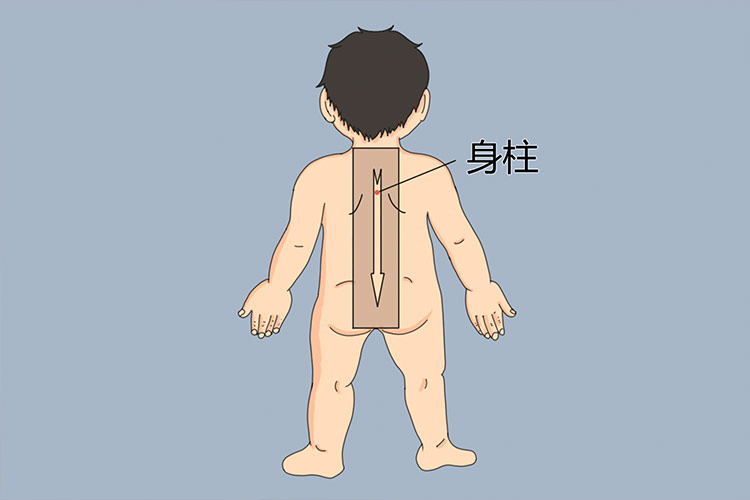 小儿身柱穴图