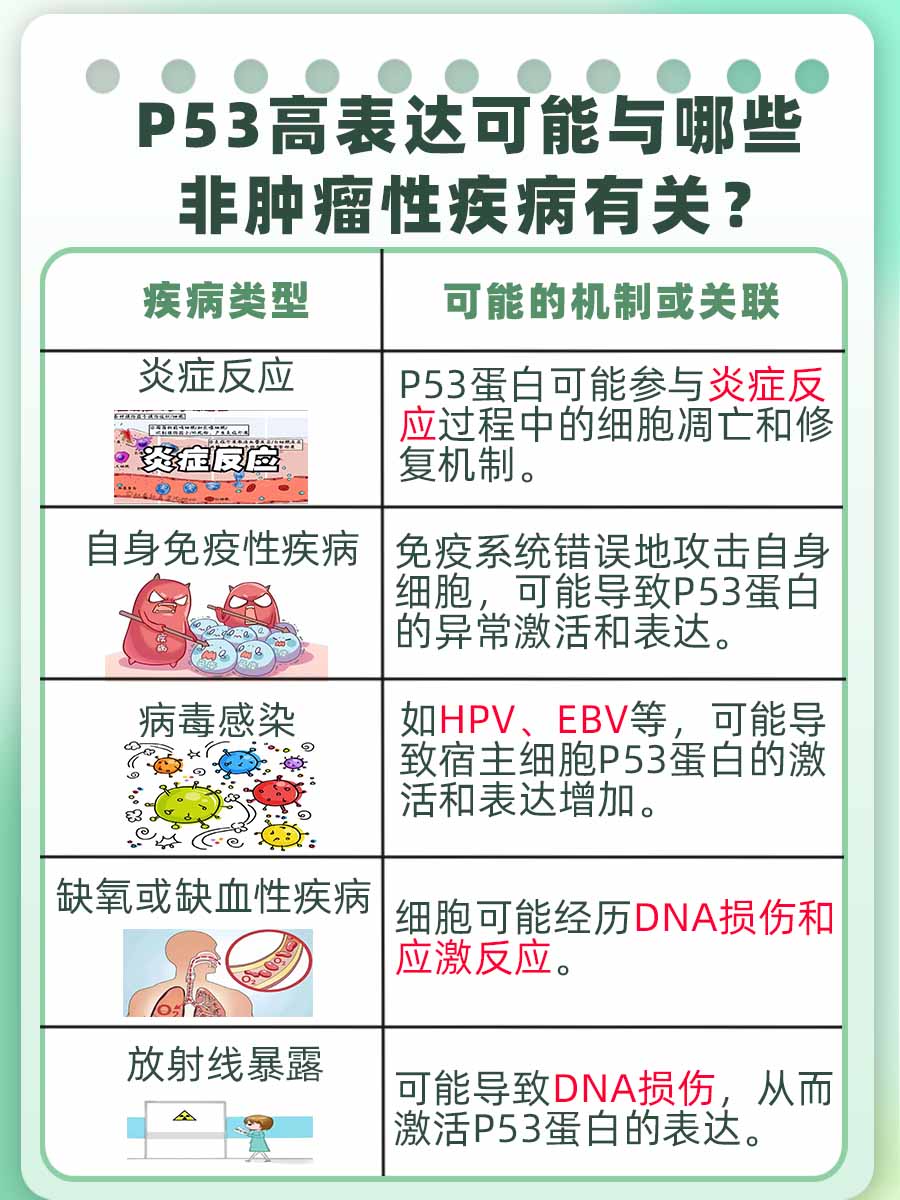 解析p53高表达标准：多少数值为临界值？