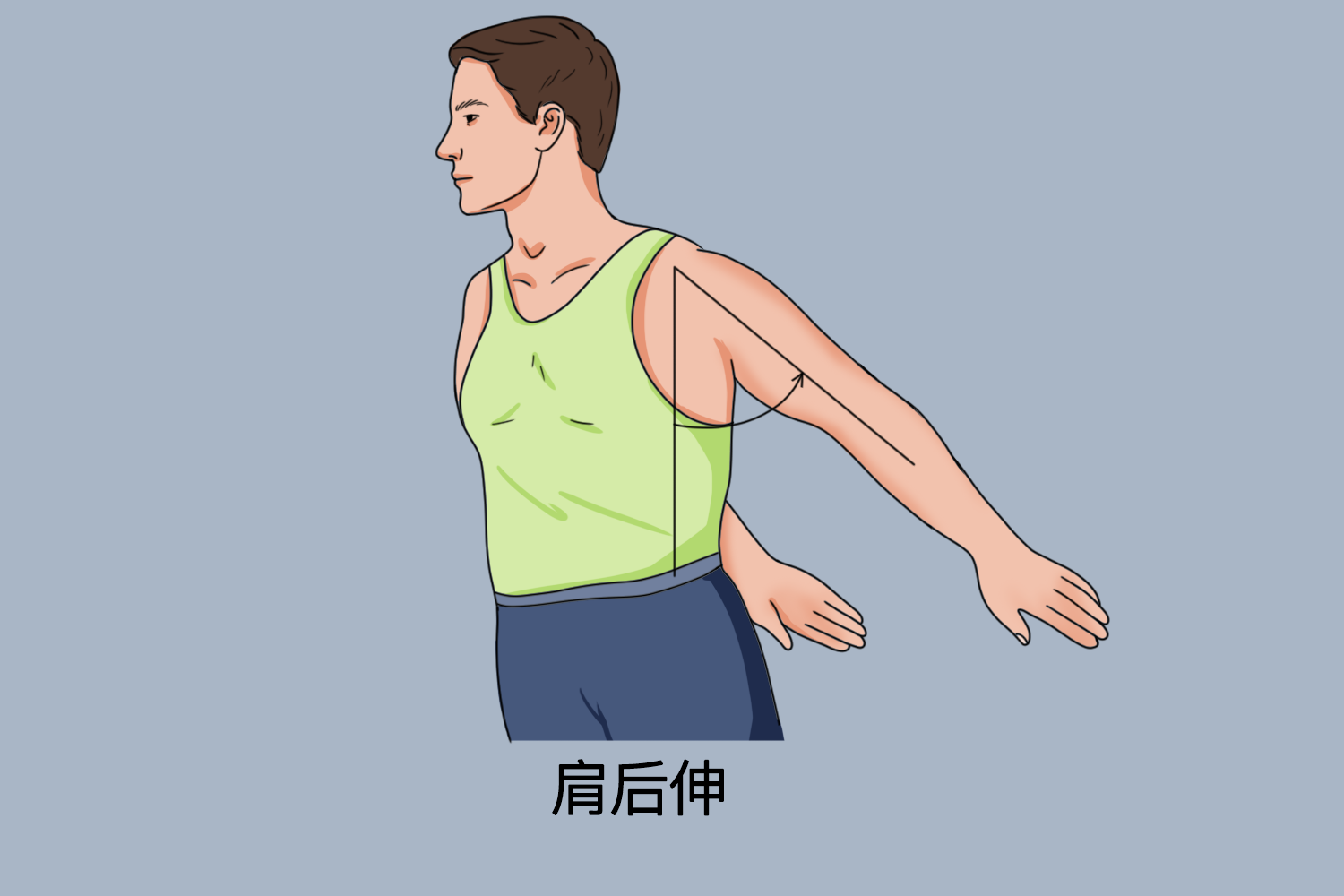 肩关节后伸图