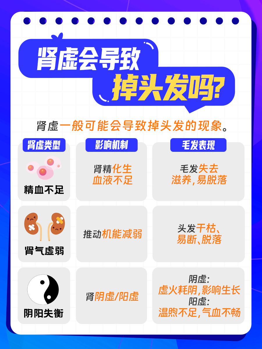 肾虚究竟会不会导致头发掉落？