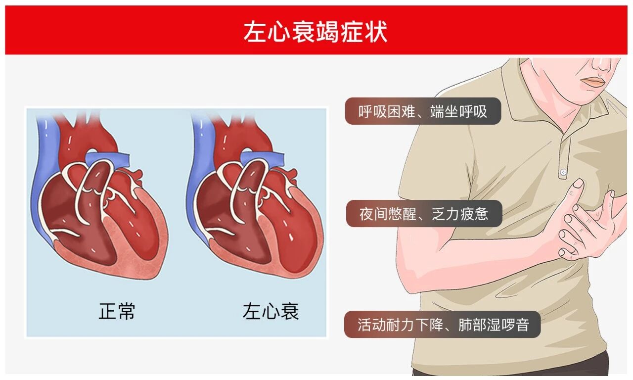 微信图片_2026-04-30_102655_812.jpg