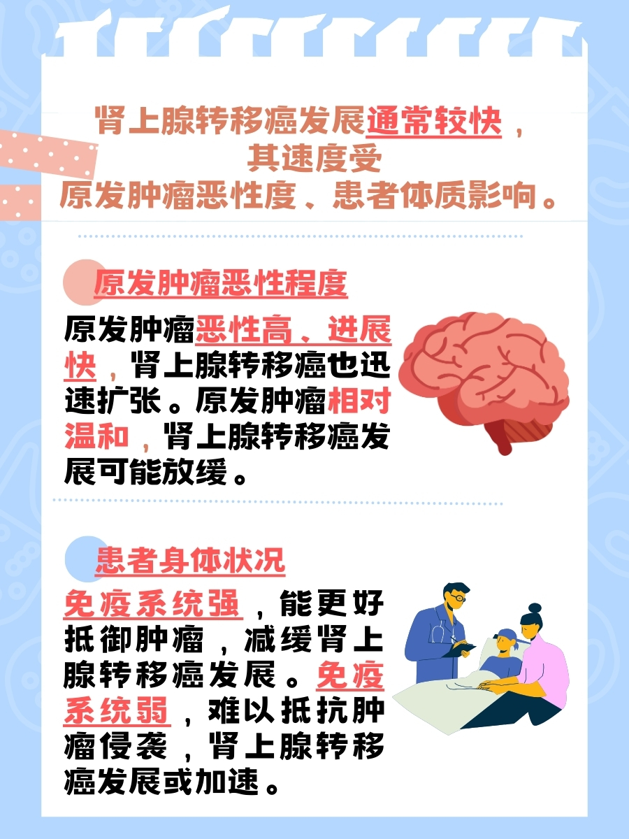 肾上腺转移癌发展快吗？一文了解