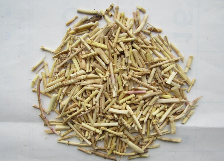 茅根的功效与作用-有来医生