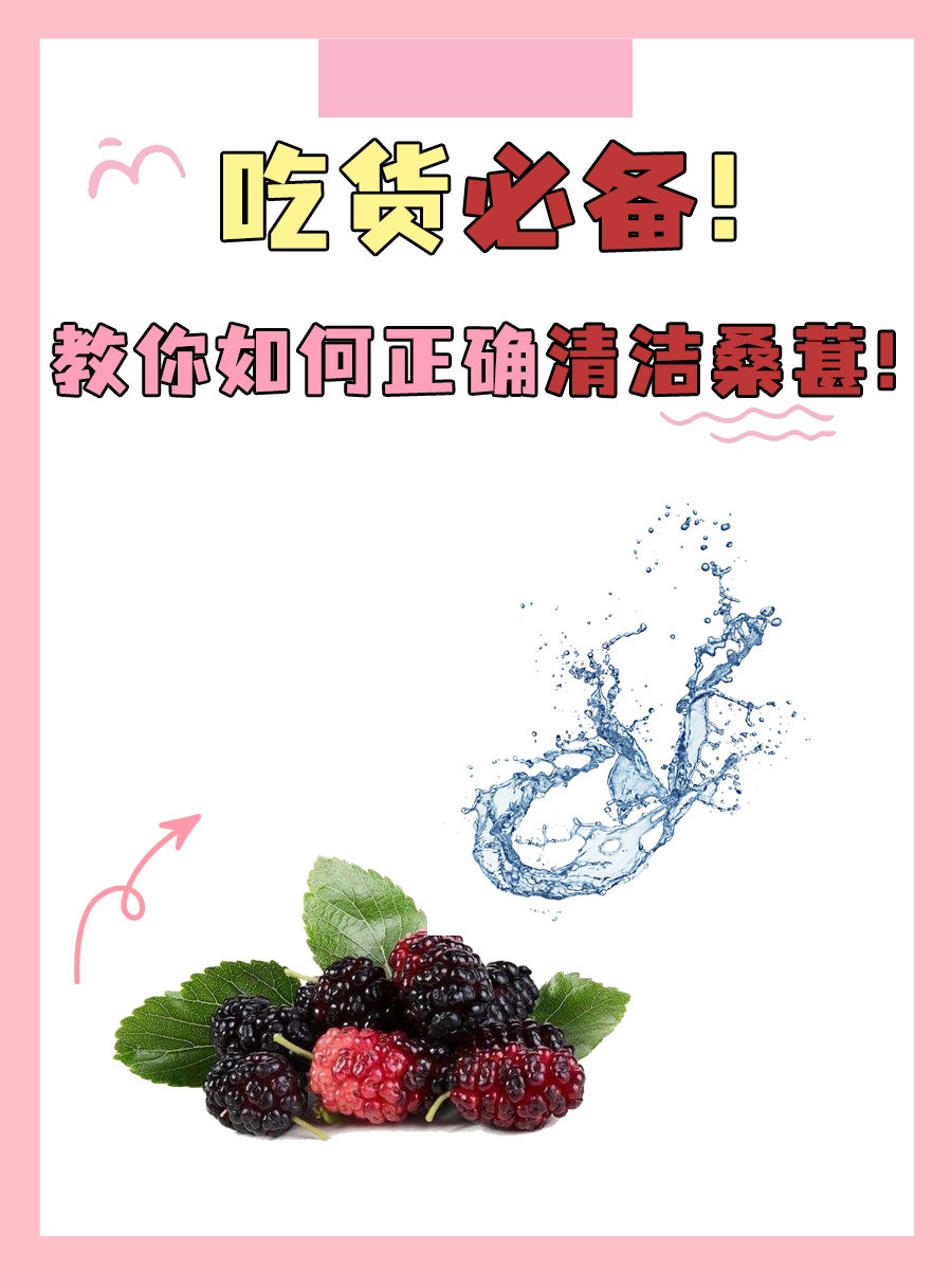 吃货必备！教你如何正确清洁桑葚！