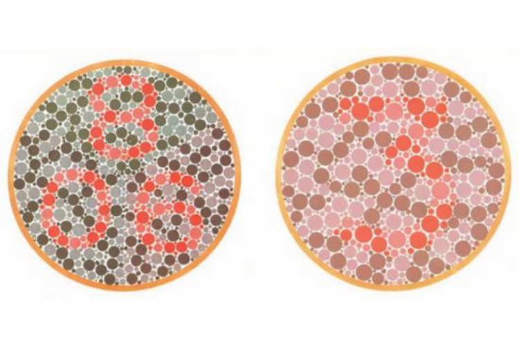 高考体检色盲色弱测试图